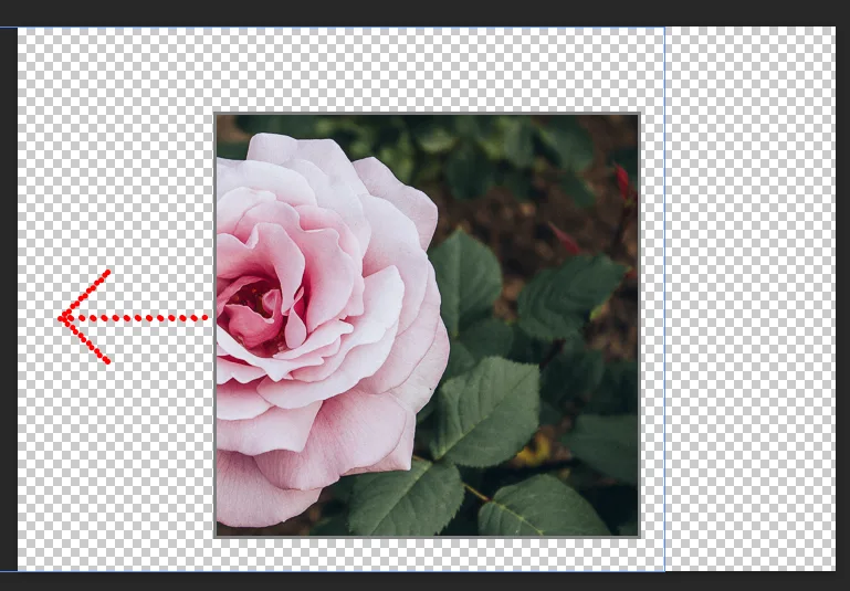 어도비 포토샵으로 프레임 툴을 활용하여 이미지를 자른 후 이동하는 모습