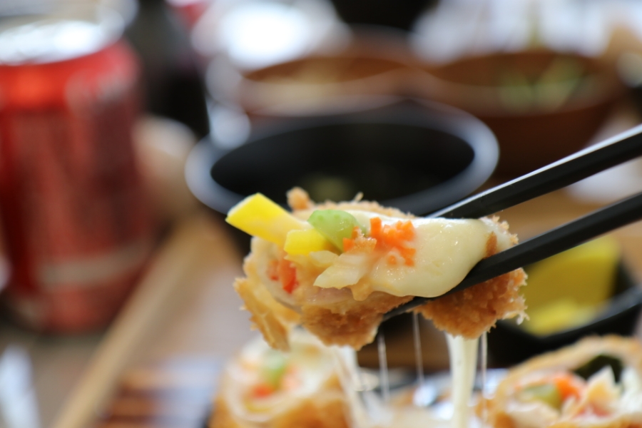 돔 종류이름 극찬했던 일산 13