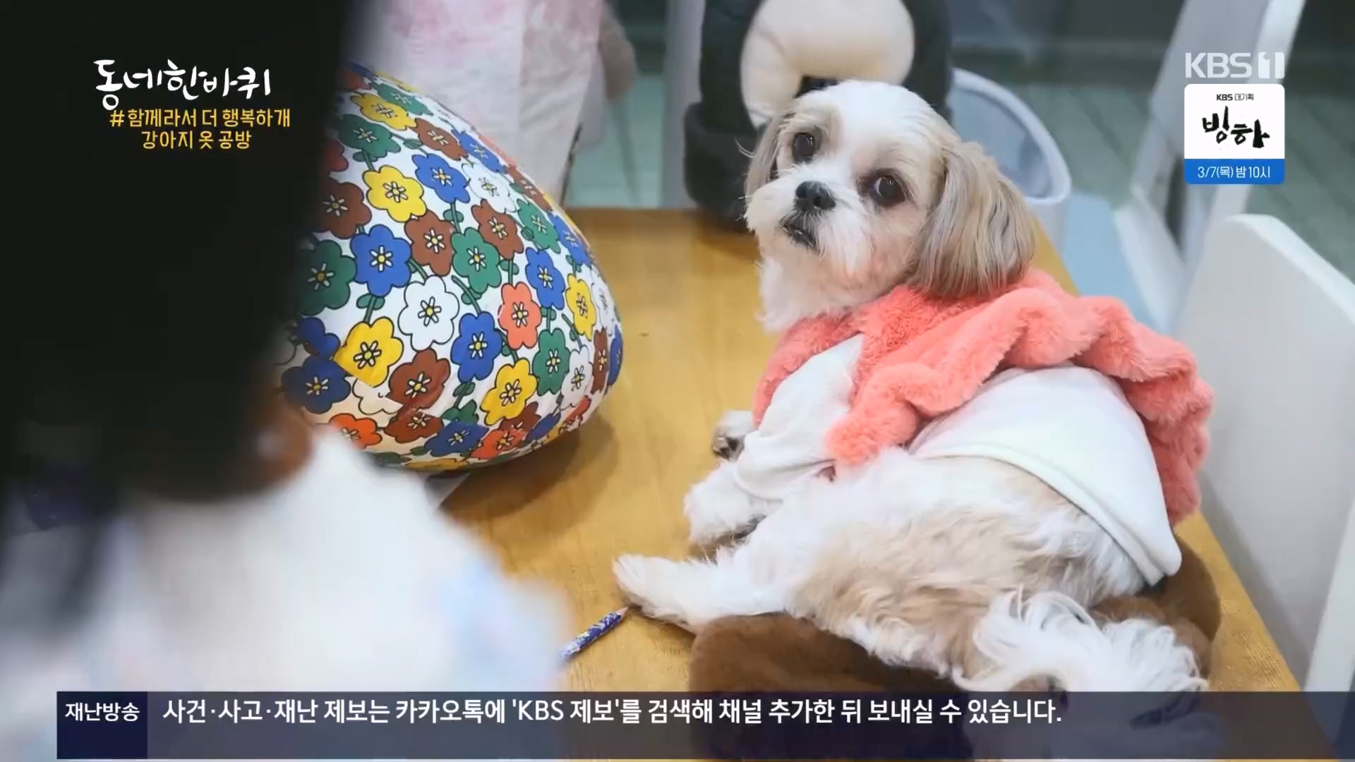 동네 한 바퀴.E259.240224p.H264-F1RST.mp4_20240225_171722.242.jpg