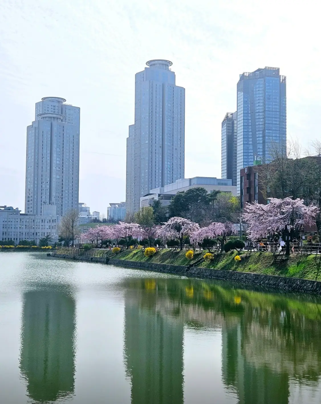 사진44