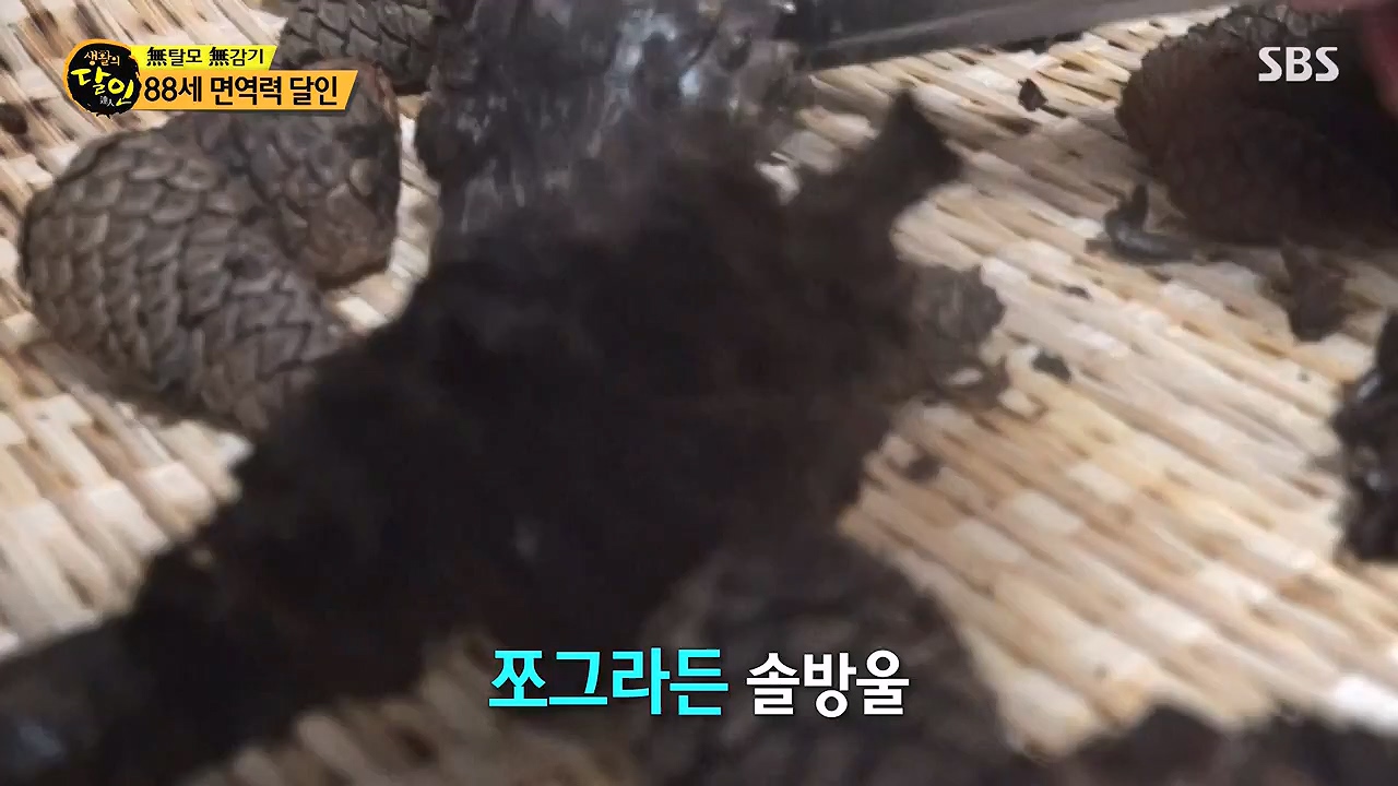 생활의 달인.E886.230502p-NEXT.mp4_20230502_195504.166.jpg