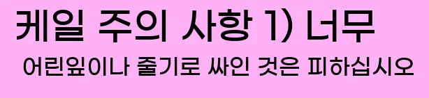  5. 케일 주의 사항 1) 너무 어린잎이나 줄기로 싸인 것은 피하십시오.