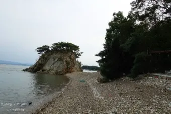 효자도 배시간표 배편 예매 요금 민박_11