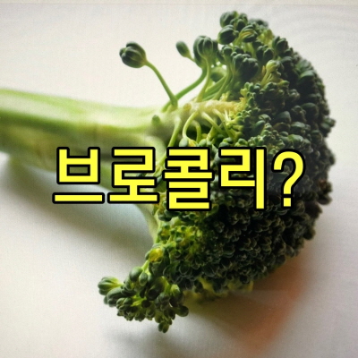  사람에게도 동물에게도 좋은 브로콜리의 효능과 부작용 주의사항!