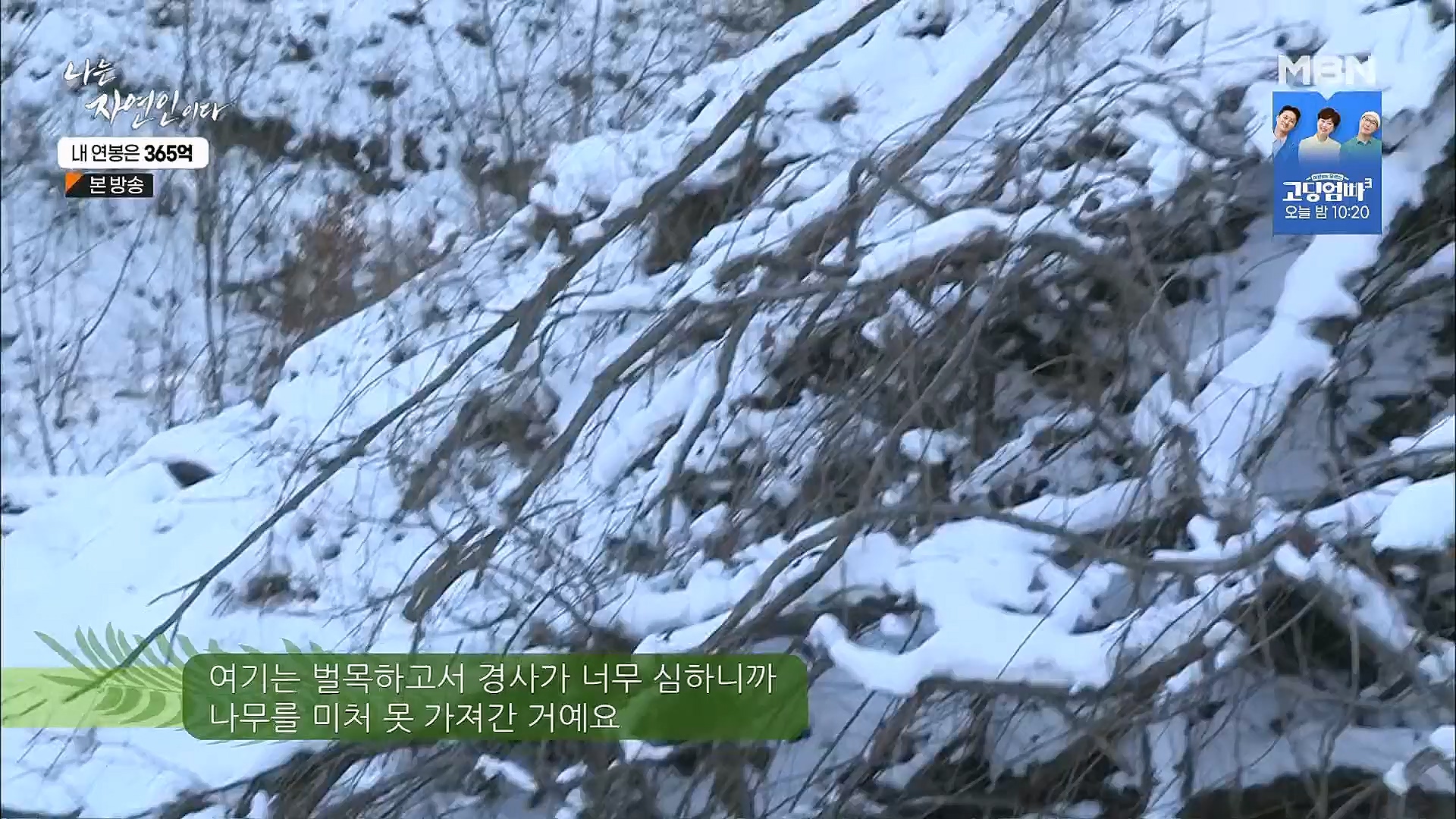 나는 자연인이다.E537.230118p.H264-F1RST.mp4_20230119_204846.303.jpg