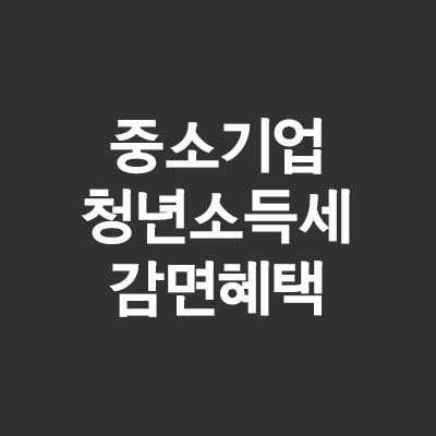  중소기업 청년 소득세 감면 혜택 (ft.연말정산 세액공제)