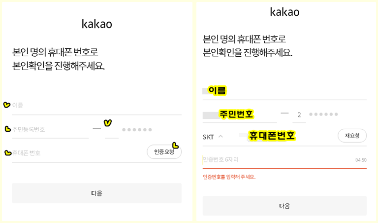 비밀번호 변경으로 해결하는 카카오 어카운트 로그인 불가 6