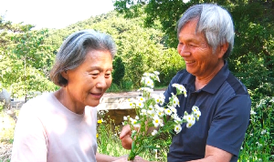 들꽃 선물