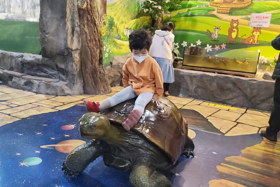 부천 아쿠아리움 부천 아쿠아리움먹이주기 체험 4