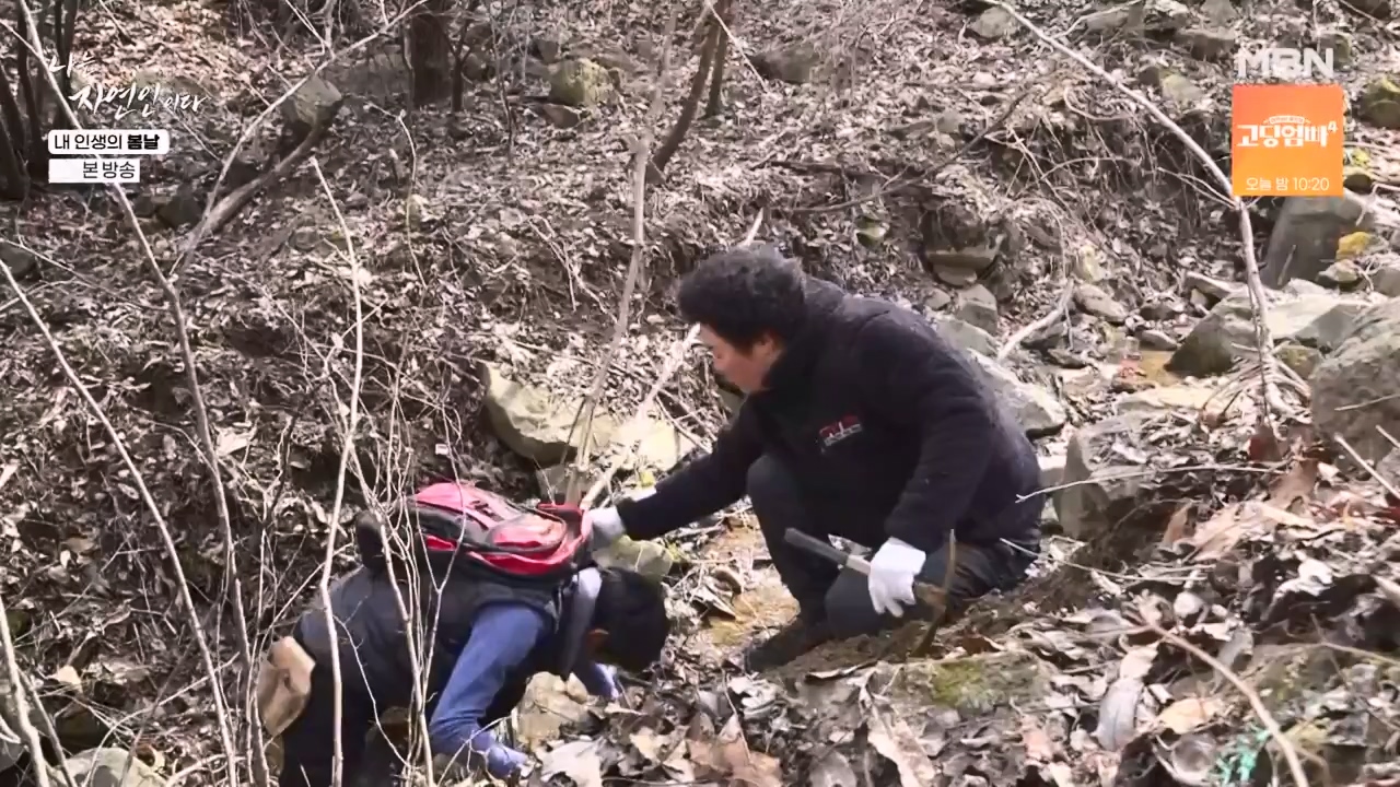 나는 자연인이다.E599.240328p-NEXT.mp4_20240328_195833.579.jpg