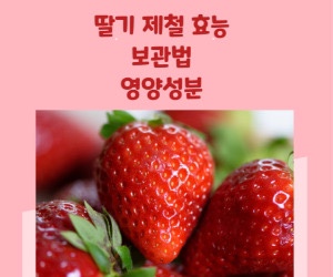  딸기 제철 효능 보관법 영양성분