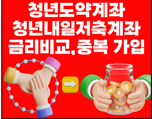 청년도약계좌와 청년내일저축계좌