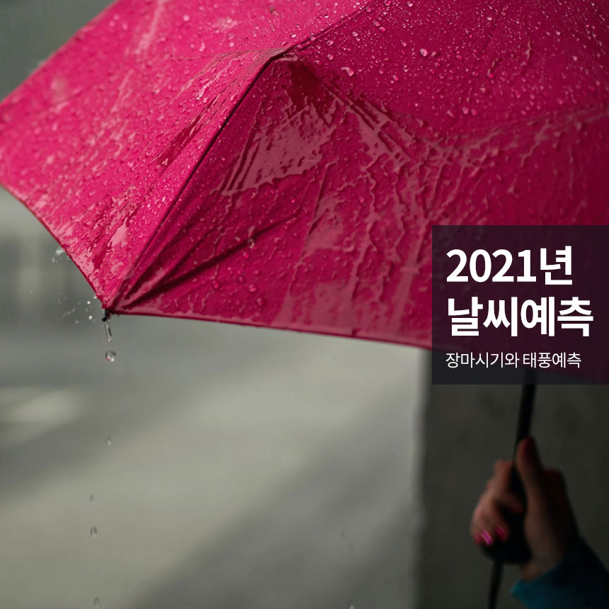 “2021년-장마시기와-태풍예측”