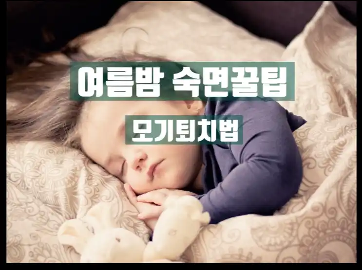 아기가자는사진:텍스트-여름밤-숙면꿀팁-모기퇴치법