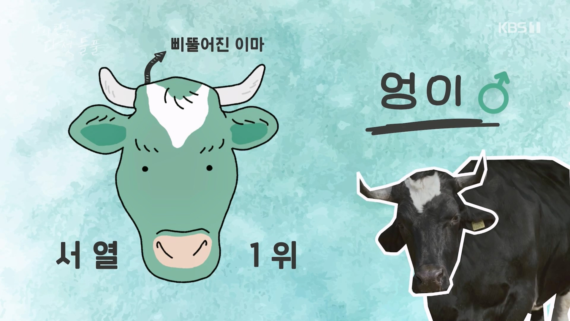 특집 다큐 나의 친구, 다섯 들풀.240119p.H264-F1RST.mp4_20240121_150416.462.jpg