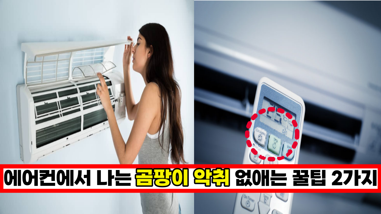  '에어컨 사용하실때 '이버튼' 꼭 누르세요' 에어컨에서 나는 곰팡이 악취 없애는 꿀팁 2가지