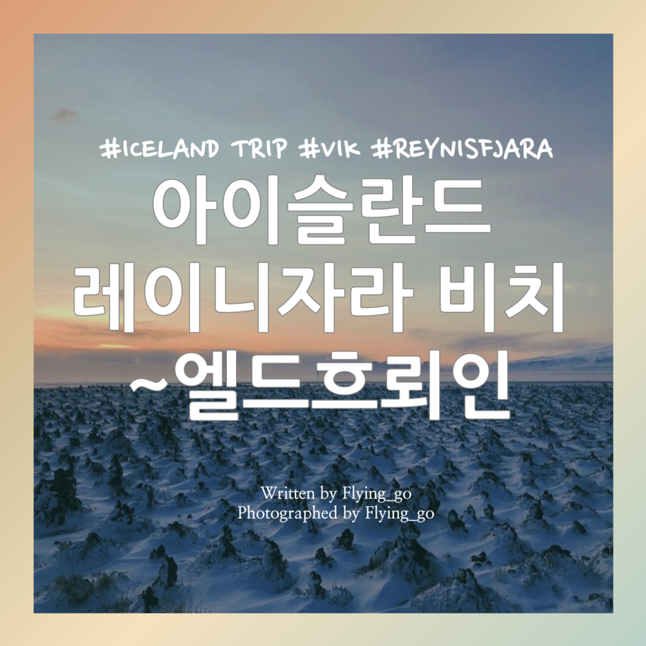  [겨울 아이슬란드 여행 DAY 5] 레이니스자라(Reynisfjara Beach), 디르홀레이, 엘드흐뢰인(Eldhraun), 뢰이프스칼라바르다(Laufskálavarða)
