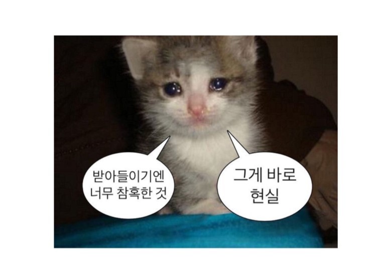 코테 이미지