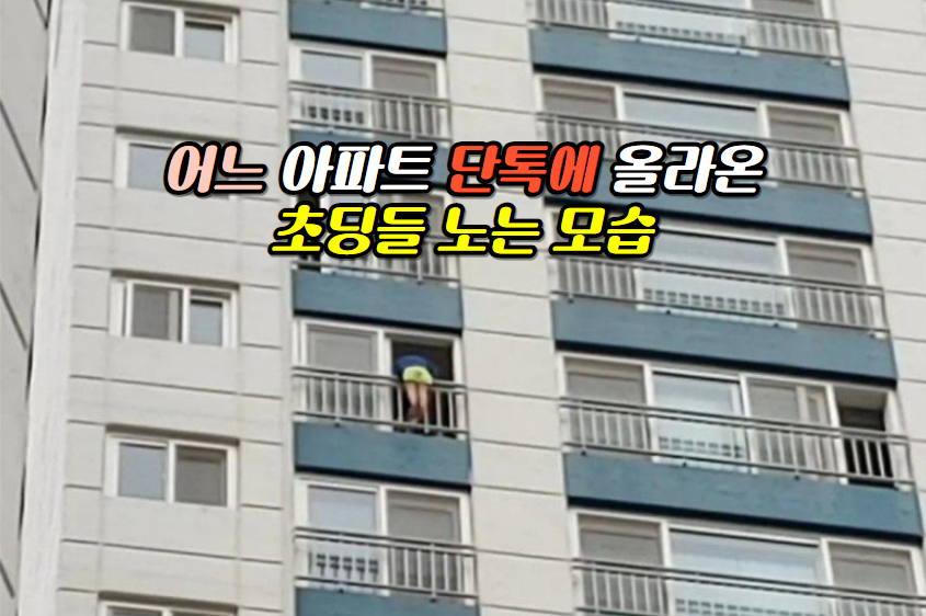 어느 아파트 단톡에 올라온 초딩들 노는 모습