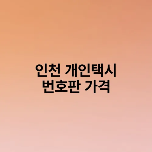 인천 개인택시 번호판 가격
