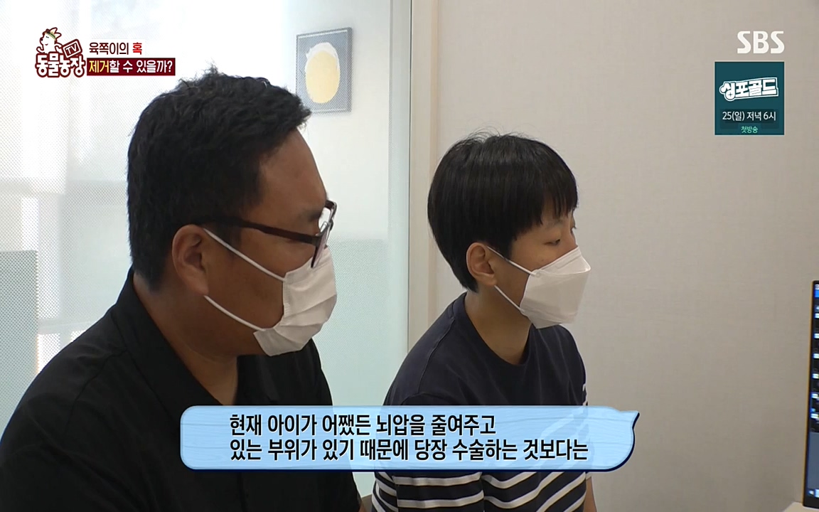 TV 동물농장.E1087.220919p-NEXT.mp4_20220918_180237.055.jpg