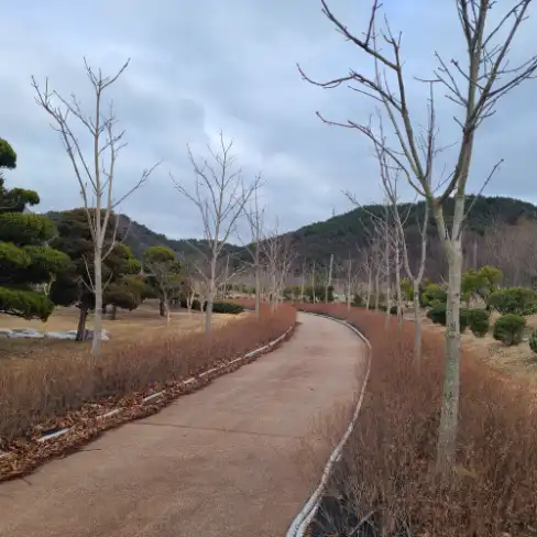 해운대수목원-산책로