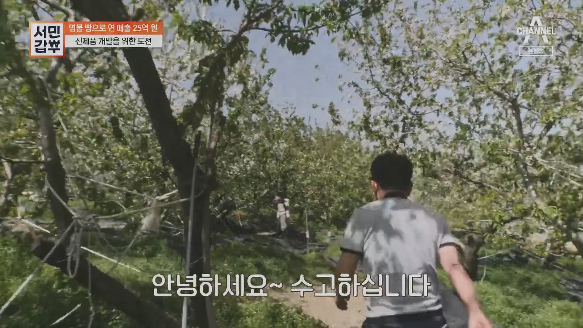 서민갑부.E435.230513p.H264-F1RST.mp4_20230516_195442.066.jpg