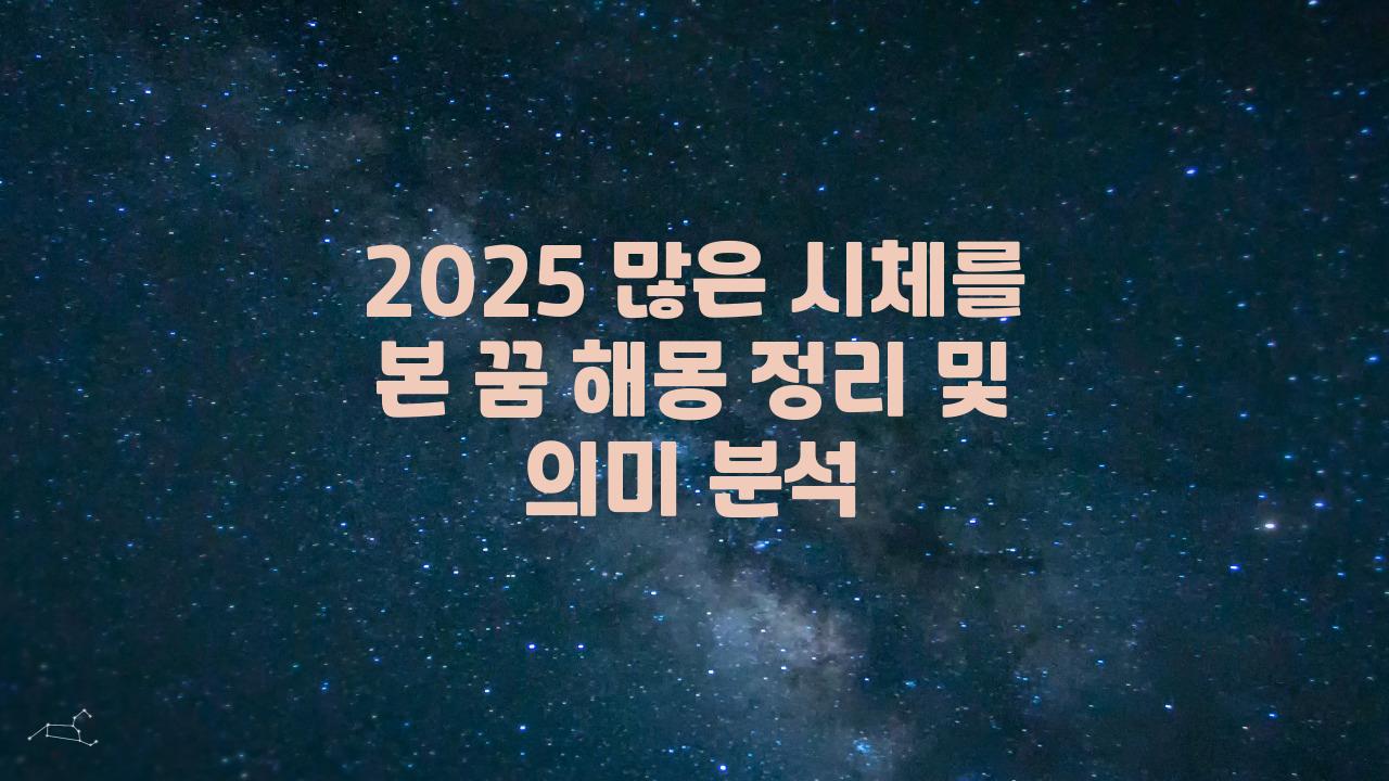 2025 많은 시체를 본 꿈해몽