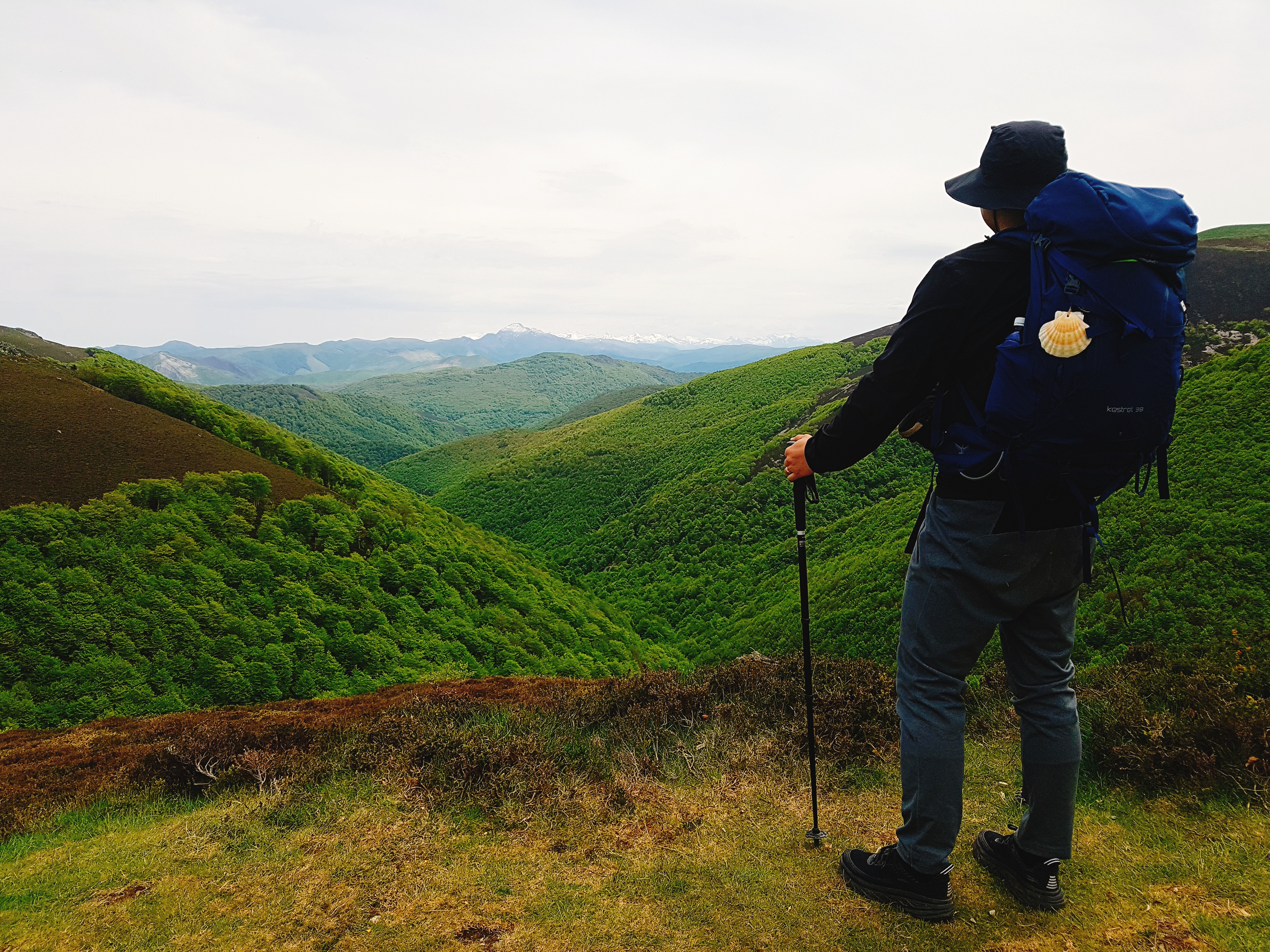  Camino de Santiago - 190523, 1일차 [생장 → 론세스바예스]
