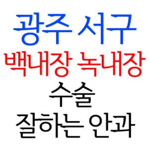 광주 서구 백내장 녹내장 수술잘하는곳 안과 병원 추천 후기 수술 가격 비용 비교 스마일라식 라섹 드림렌즈 노안 노인 근시 시력교정 렌즈 시력검사 망막 종합검진