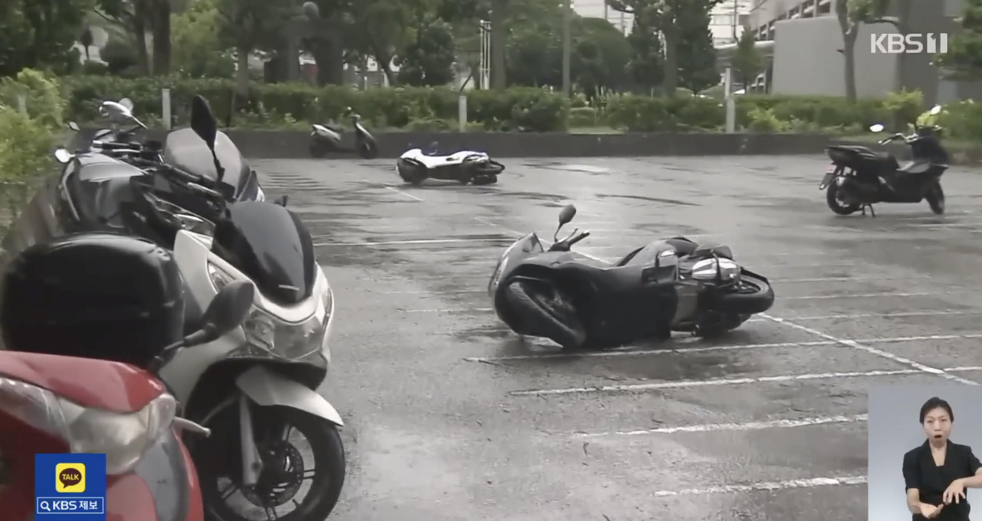 태풍으로 쓰러진 오토바이