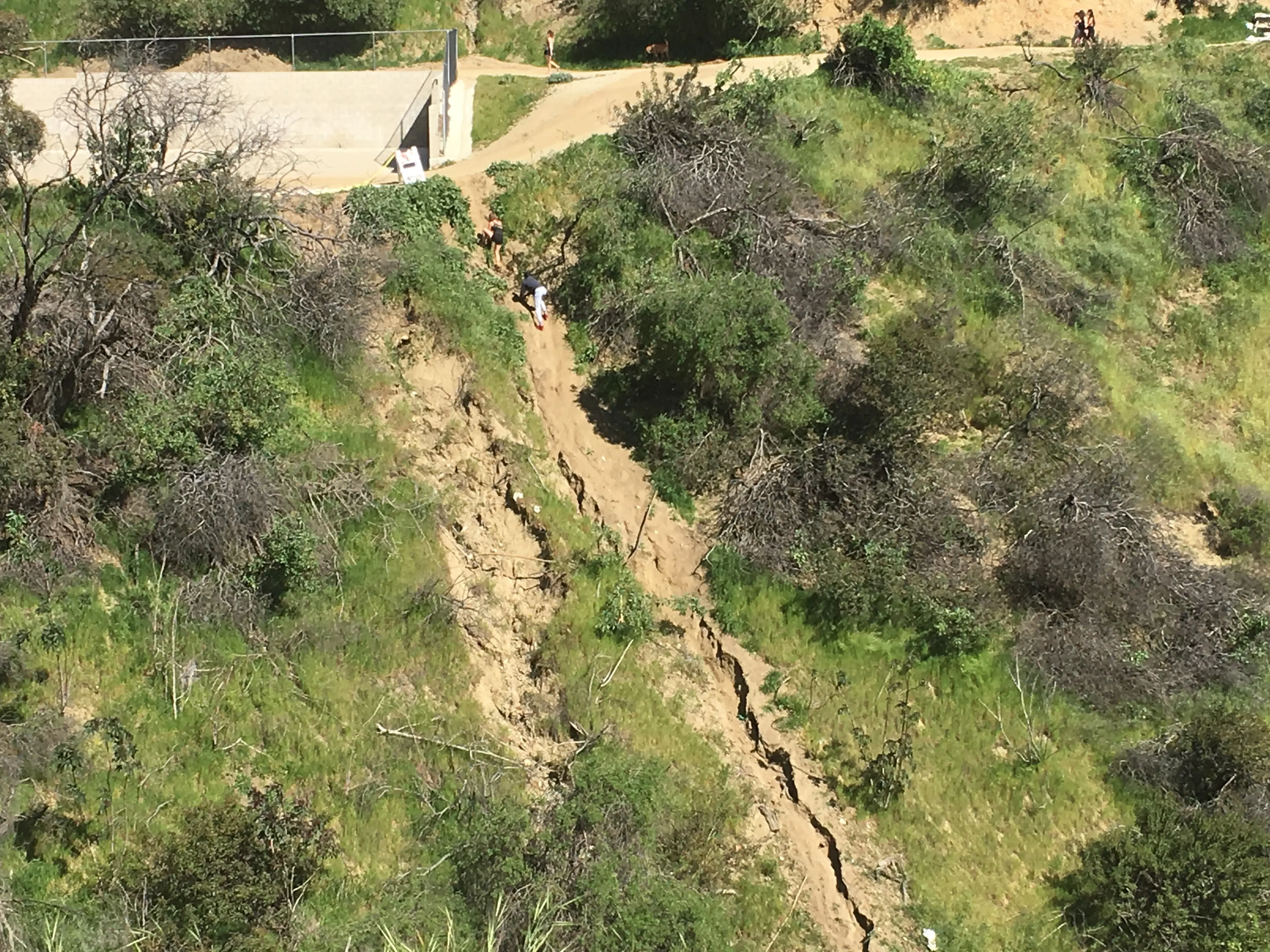 러년 캐년 공원(Runyon Canyon Park) 풍경