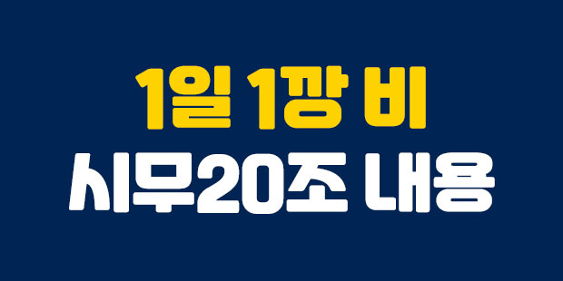  1일1깡 비의 시무20조 알아보기