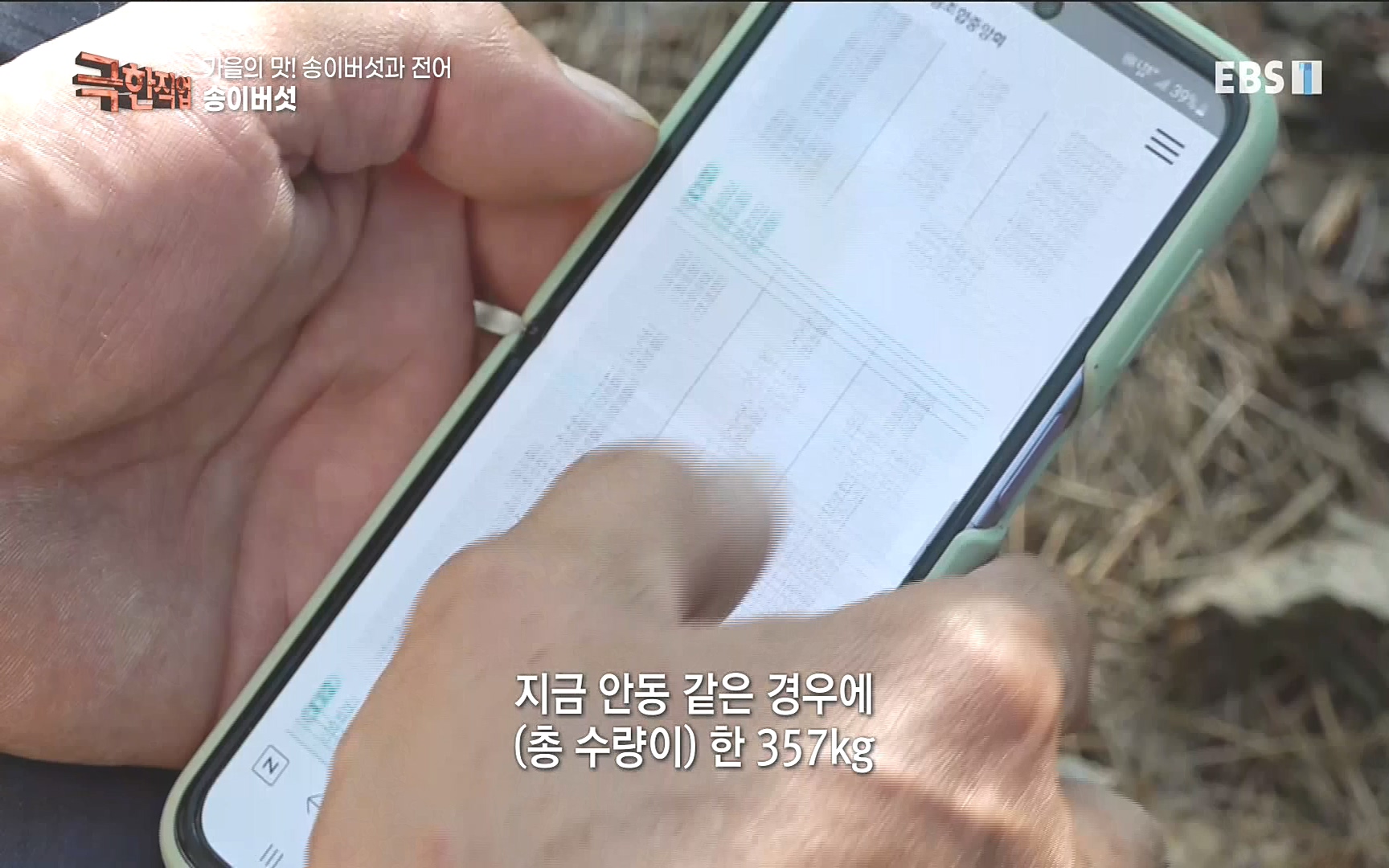 송이버섯과 전어 221008.mp4_20221012_213438.038.jpg