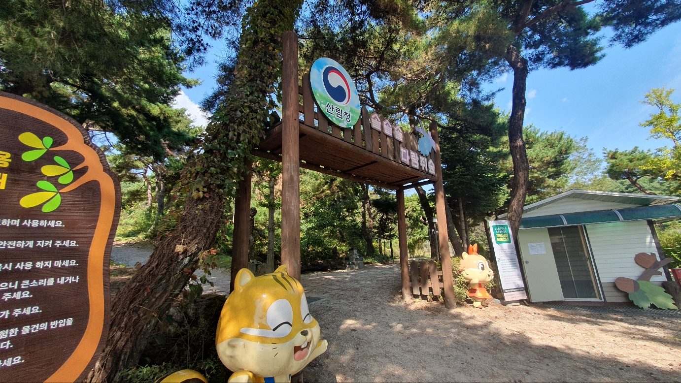 솔솔솔 다람쥐숲 유아숲체험원 이미지