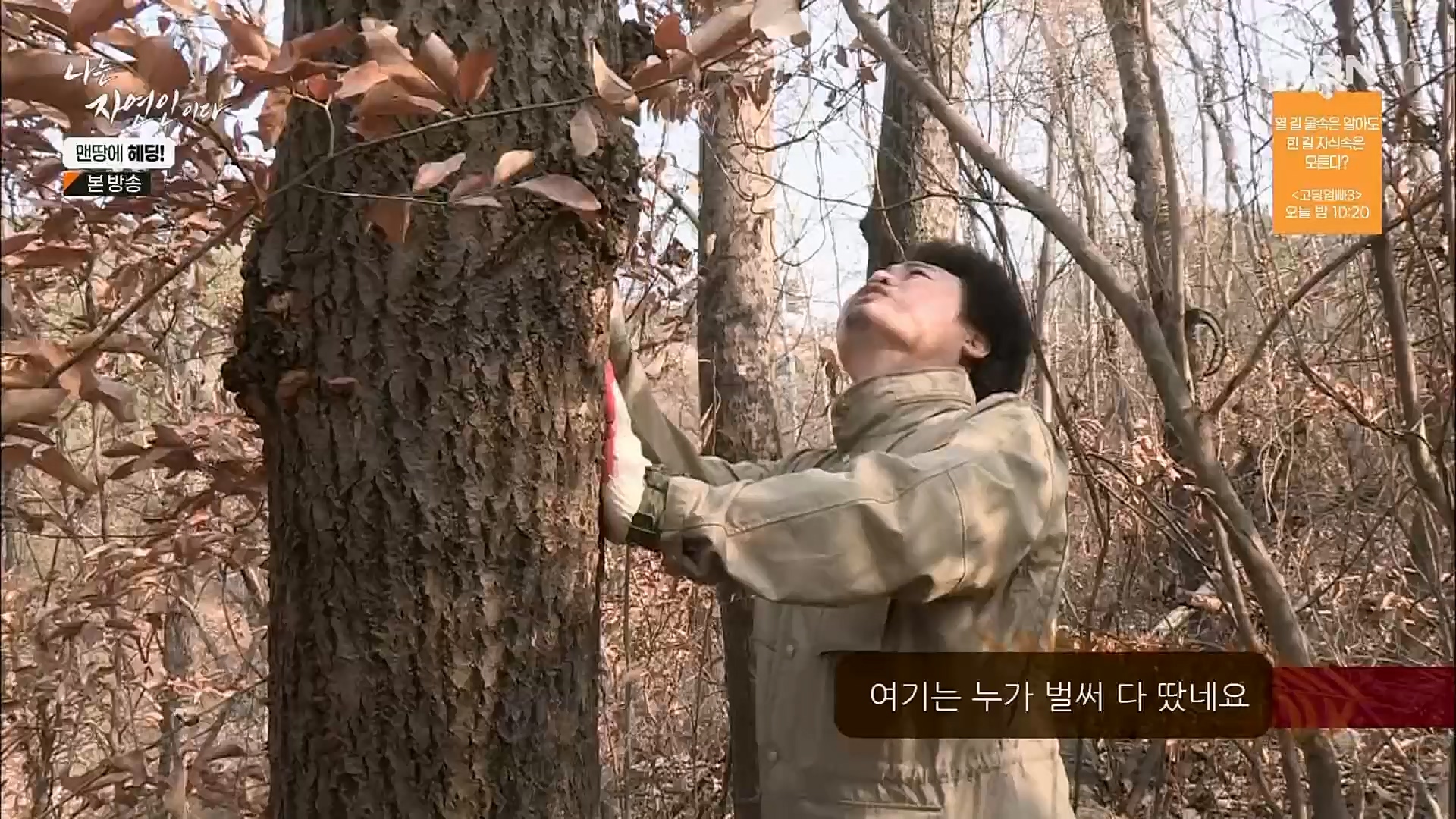 나는 자연인이다.E547.230329p.H264-F1RST.mp4_20230330_200718.775.jpg