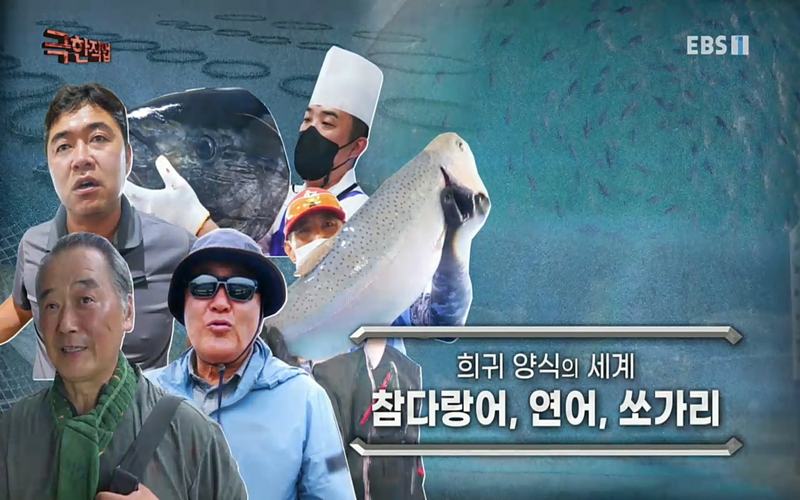 TV - 교육의 중심 EBS희귀 양식의 세계 - 참다랑어, 연어, 쏘가리.mp4_20220829_194103.155.jpg