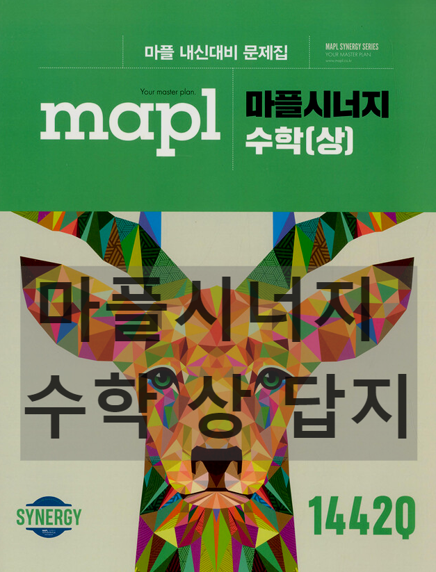  마플시너지 수학 상 답지 pdf