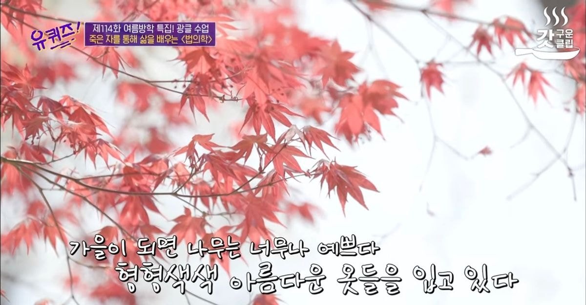  (유퀴즈) 초등학교 5학년이 쓴 동시 (feat. 법의학)
