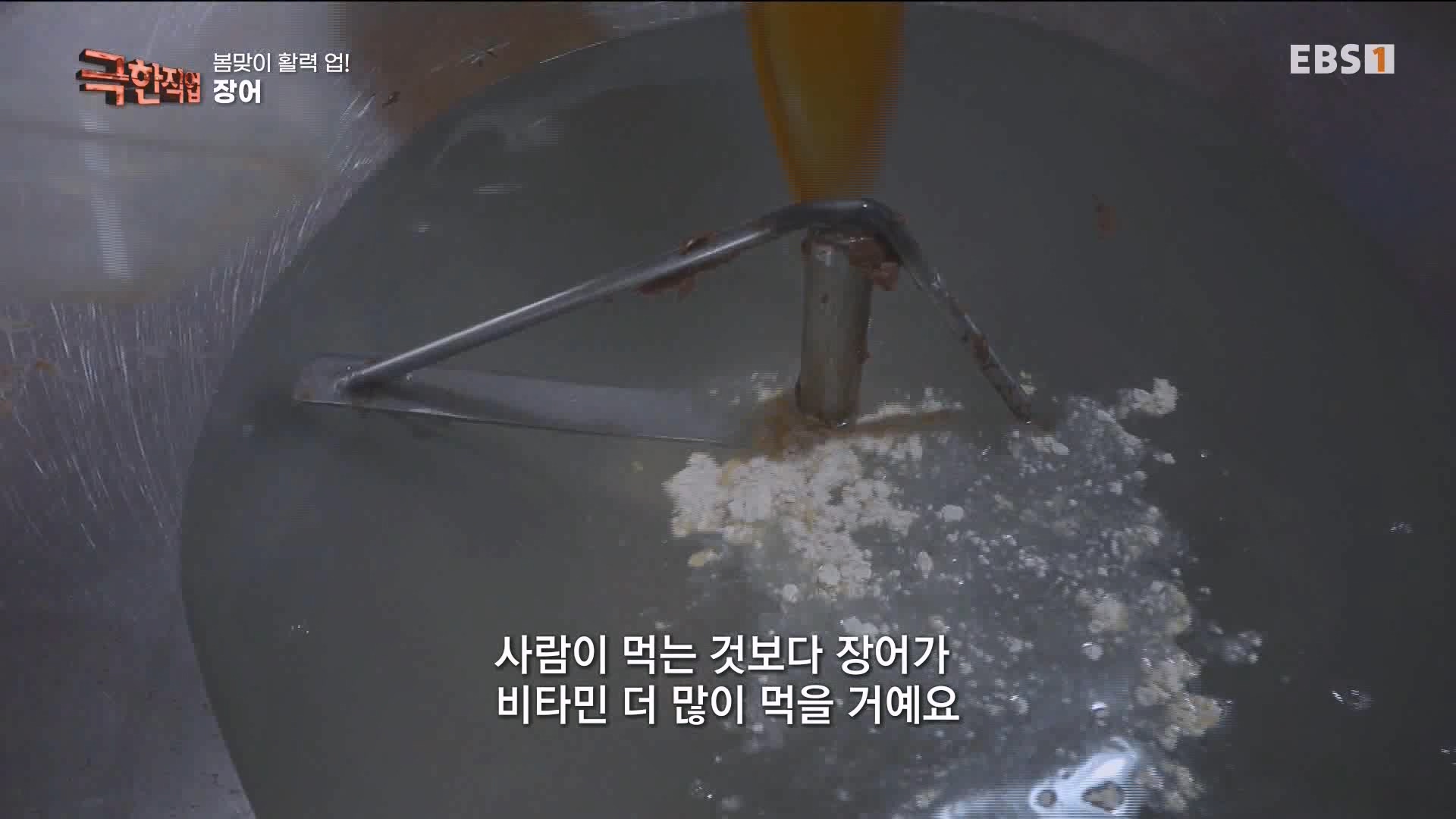 [극한 직업] 장어와 대왕문어 240316.mp4_20240317_153636.127.jpg