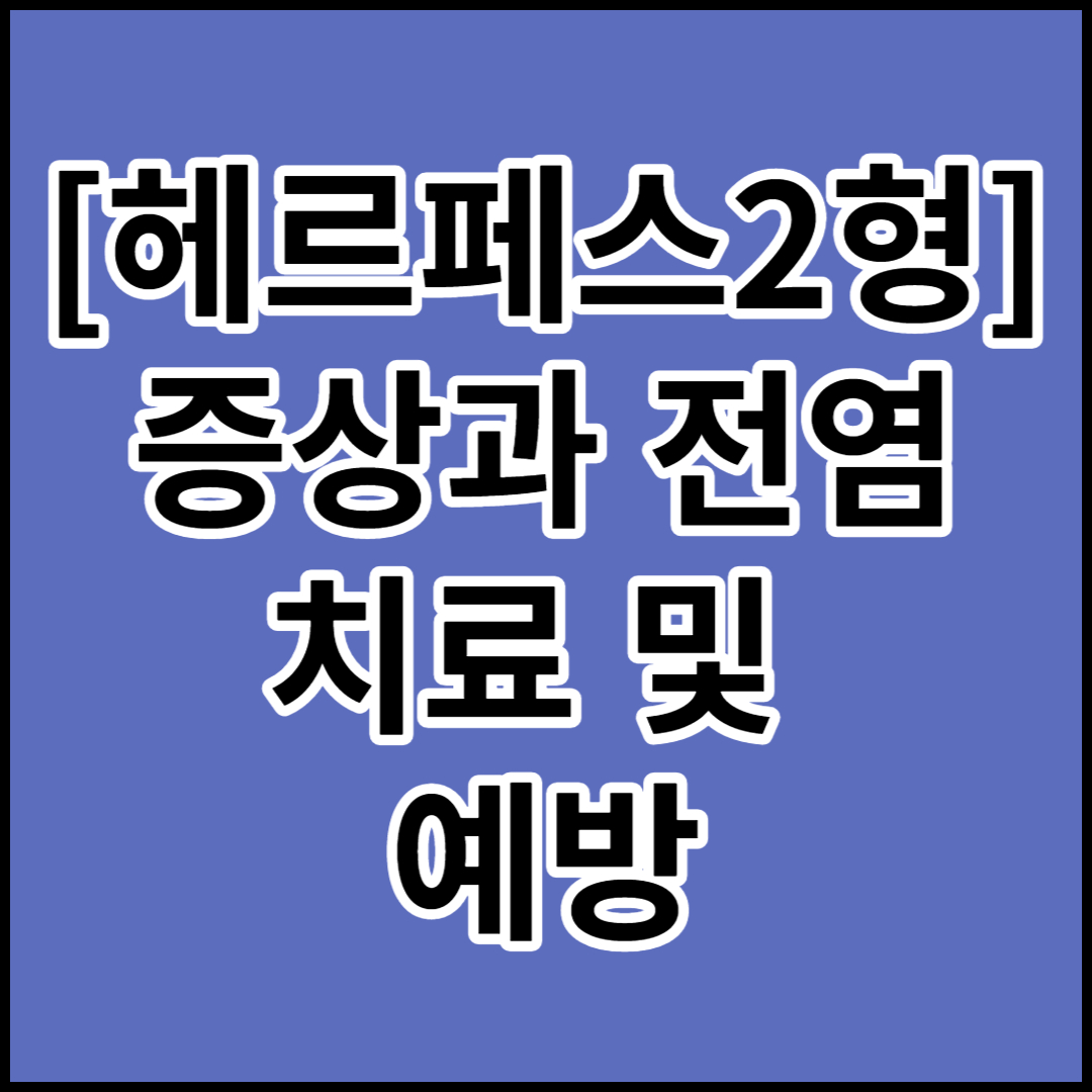  [헤르페스2형]증상,전염,치료 및 예방