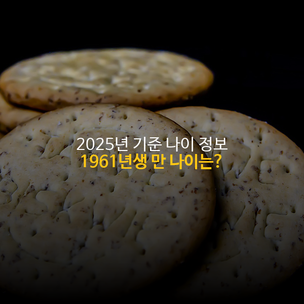 1961년생 만나이, 한국 나이 - 2025년 기준 1961년생 나이 정보