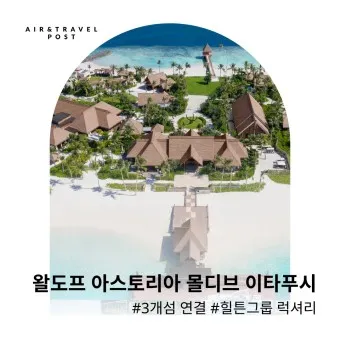 왈도프 분양가 성격 특징 장단점 사료추천 가격_15