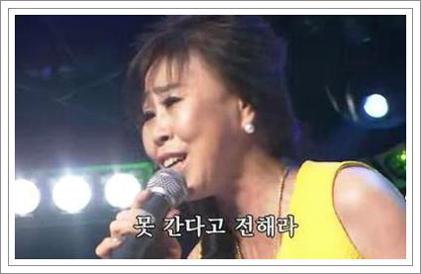 백년인생 노래
