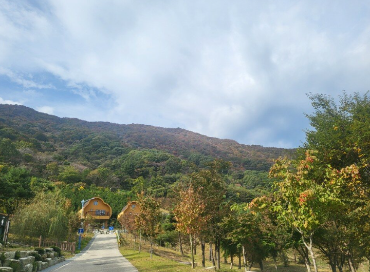 자굴산 자연휴양림 네트모험 정보 안내