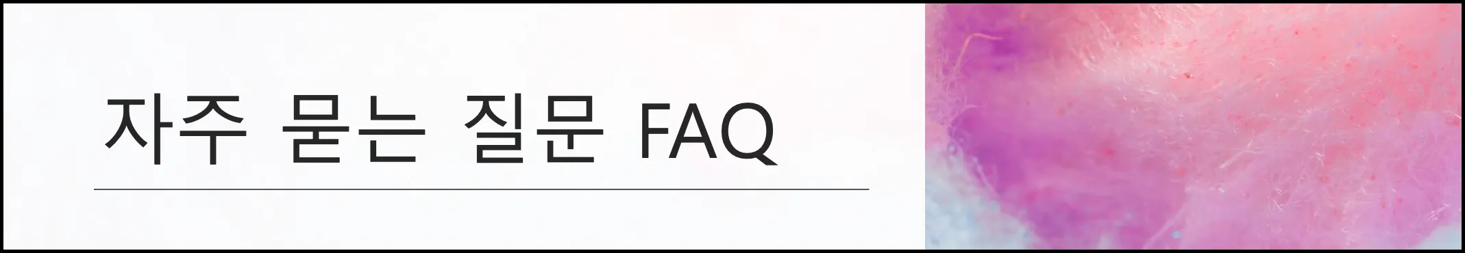 자주 묻는 질문 FAQ