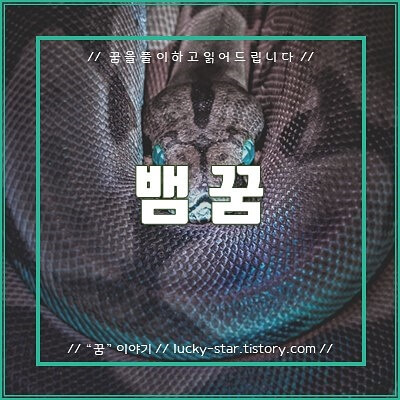  【꿈해몽/꿈풀이】뱀 꿈