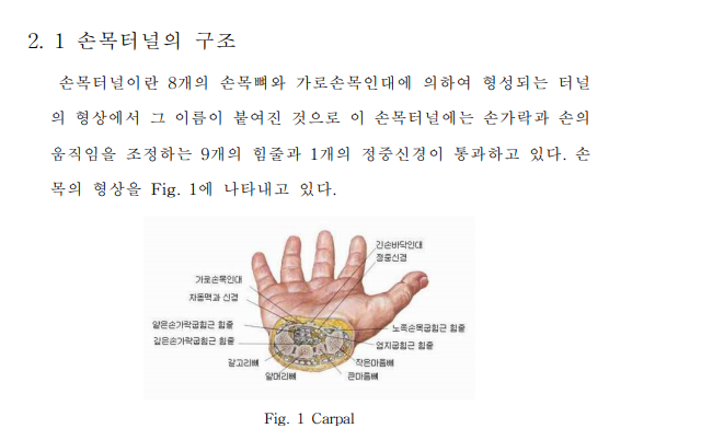 손목터널증후군 부위 증상&#44; 치료 및 예방방법