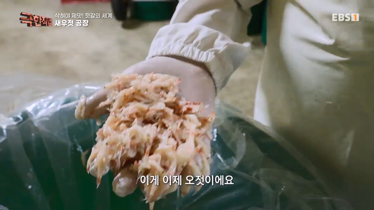TV - 전 국민의 평생학교 EBS삭혀야 제맛! 젓갈의 세계.mp4_20231125_190844.774.jpg