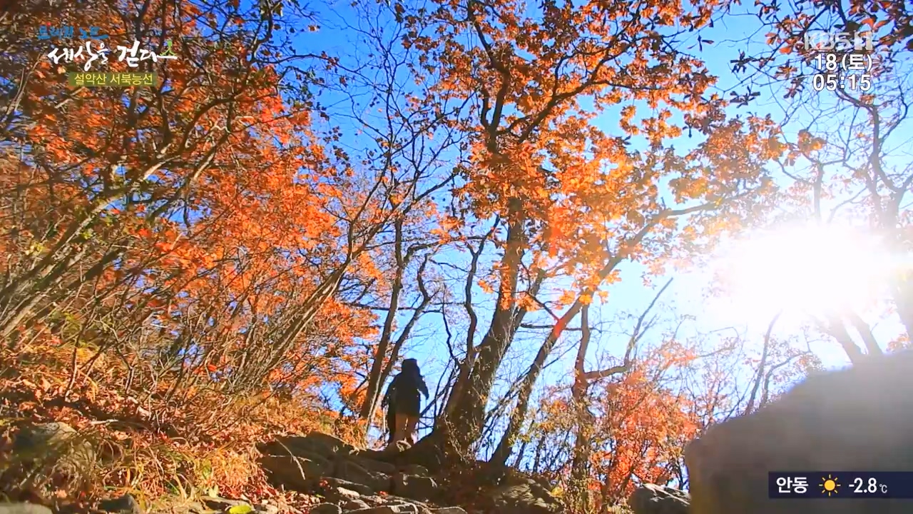 트레킹노트 세상을 걷다.E297.231119p-NEXT.mp4_20231123_212049.081.jpg